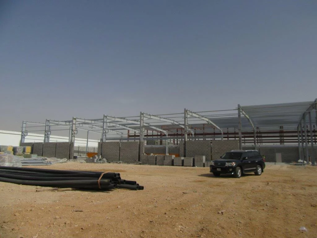 Progress new facilities under construction - Middle East Crane