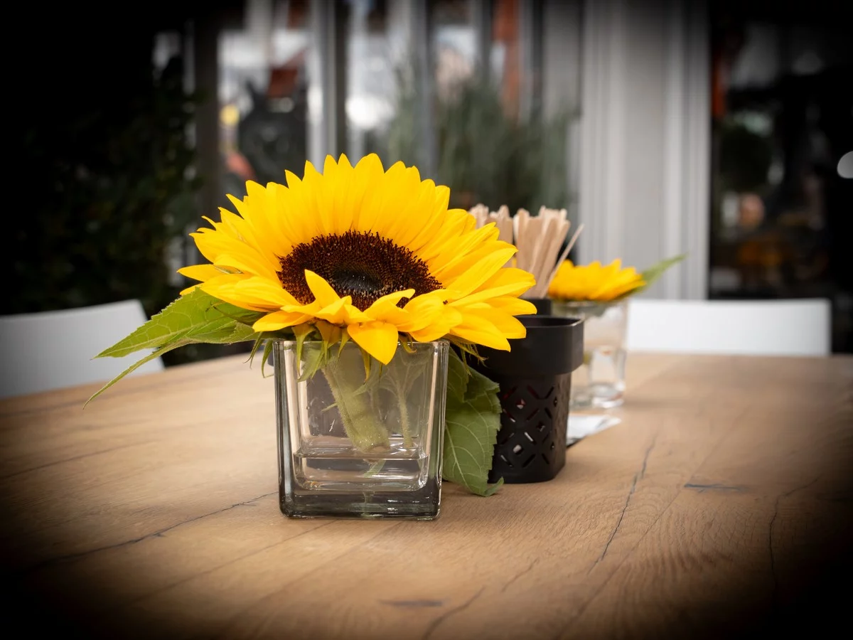 Une édition réussie : merci d'avoir visité MATEXPO 2025