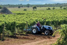 Afbeelding New Holland T3F & T3LP
