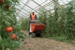 Afbeelding Kubota KC70H-4e