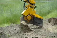 Afbeelding Herder stronkenfrees - SCE410