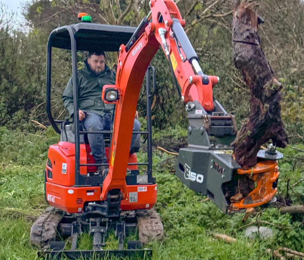 Afbeelding MDE boomknipschaar - K150